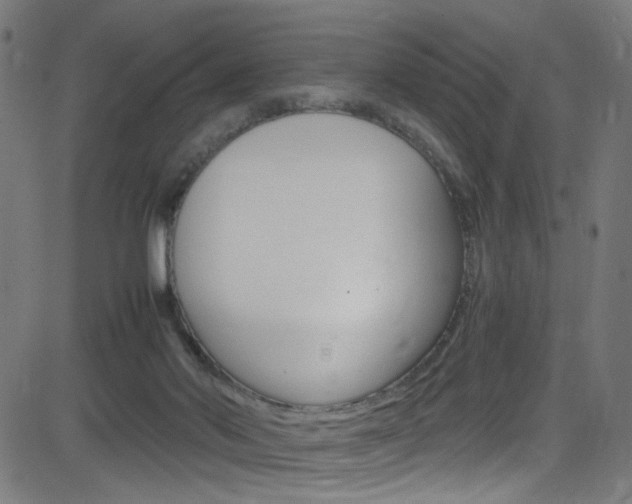 X0000083000022200702011221