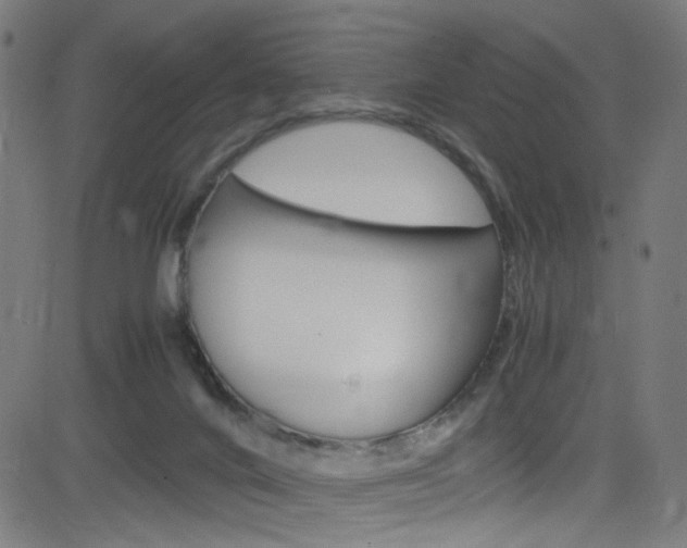 X0000083000024200702011220