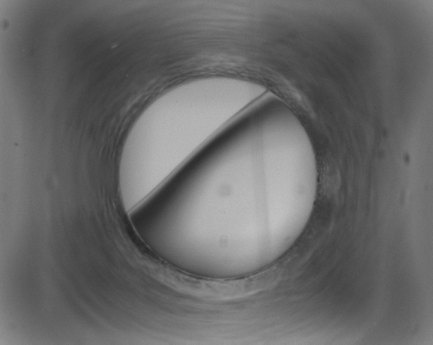 X0000083000027200702011220