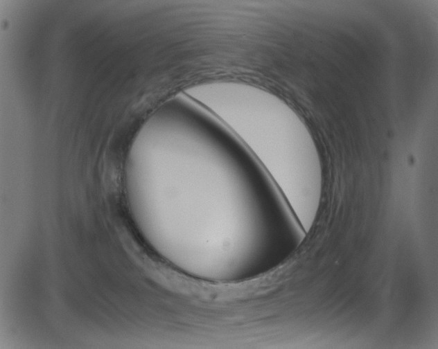 X0000083000039200702011220