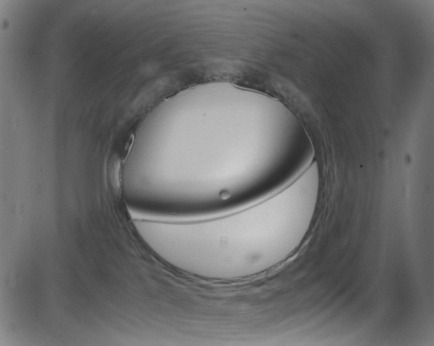 X0000083000041200702011220