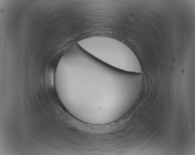 X0000083000042200702011220
