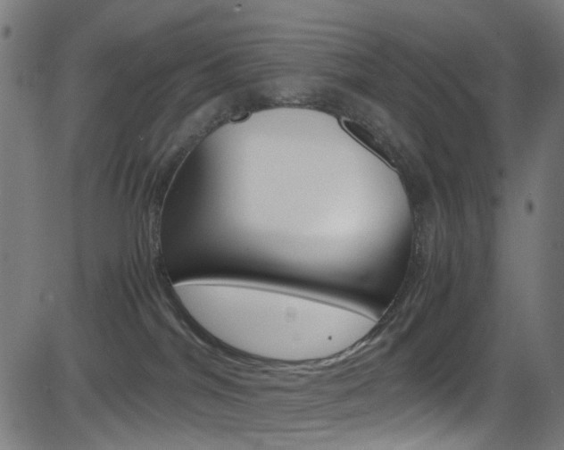 X0000083000044200702011220