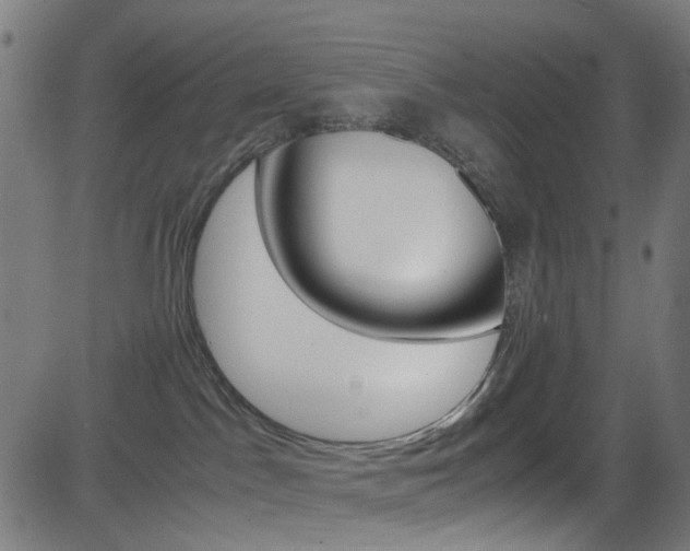 X0000083000045200702011220