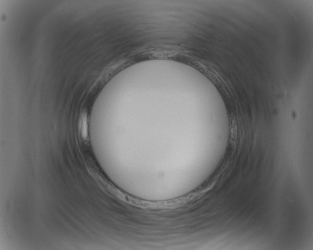 X0000083000046200702011220