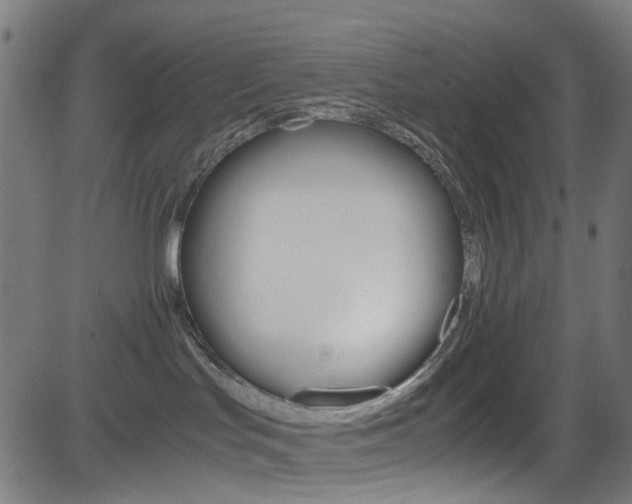 X0000083000047200702011220