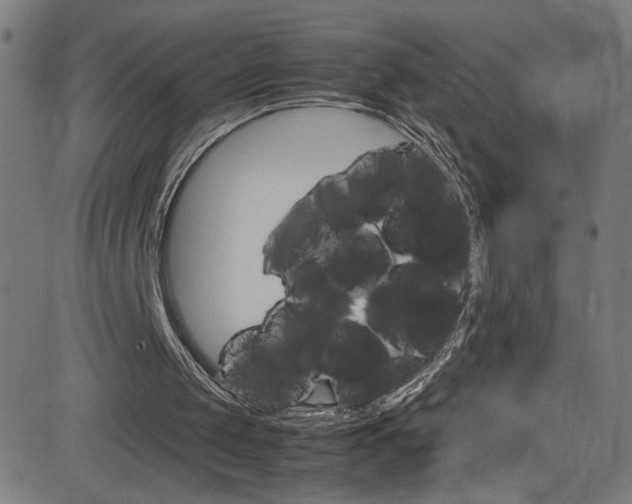 X0000083000049200702011219