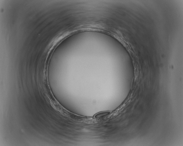 X0000083000050200702011219