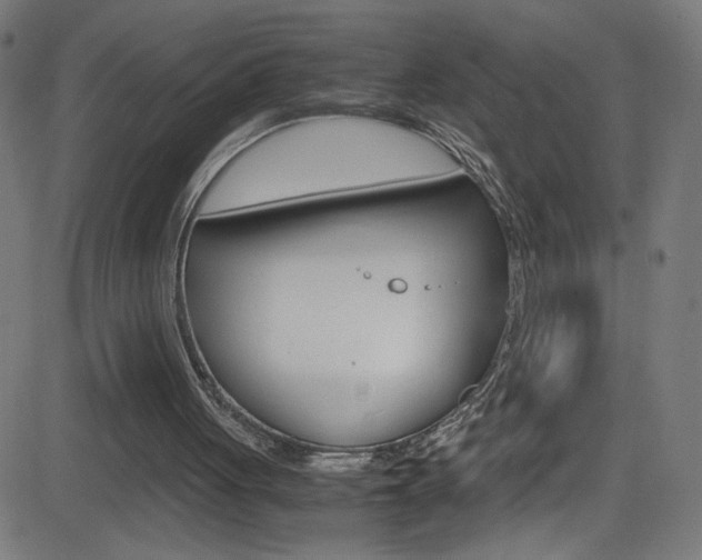 X0000083000051200702011219