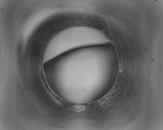 X0000083000052200702011219