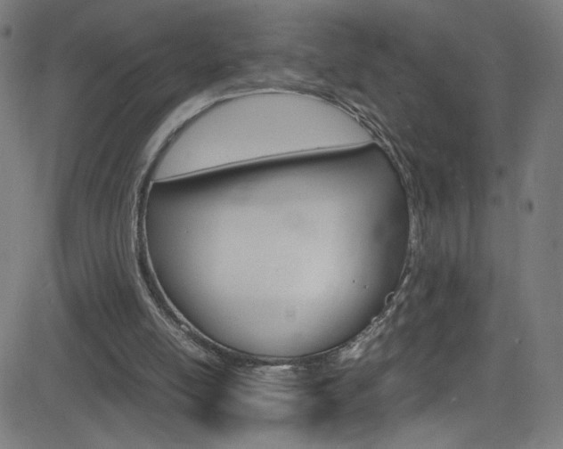 X0000083000054200702011219