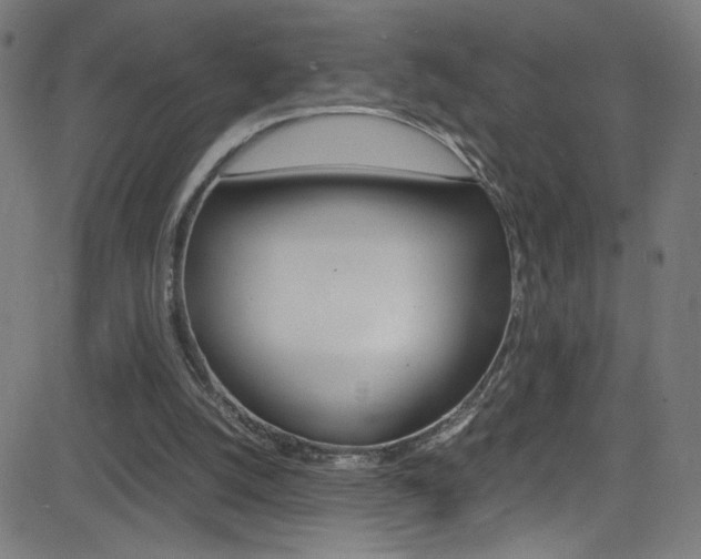 X0000083000056200702011219