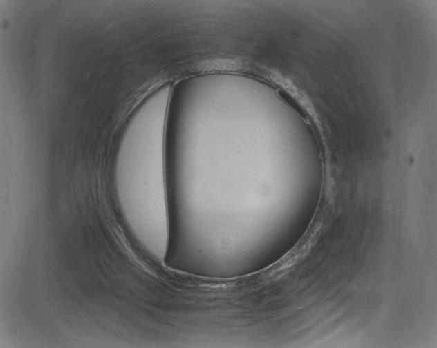 X0000083000057200702011219