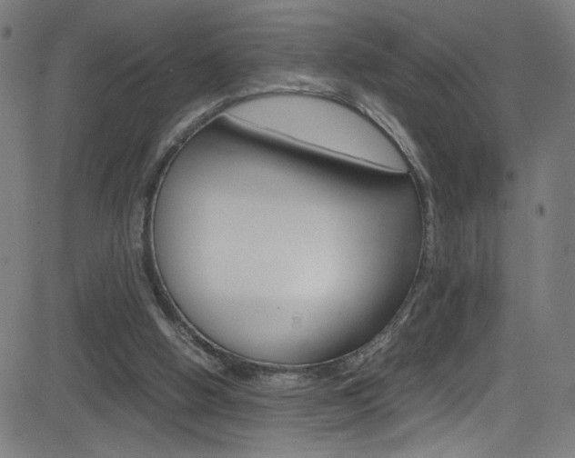 X0000083000058200702011219