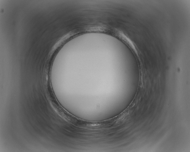 X0000083000059200702011219