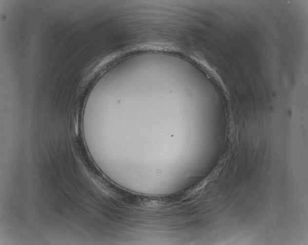 X0000083000062200702011220