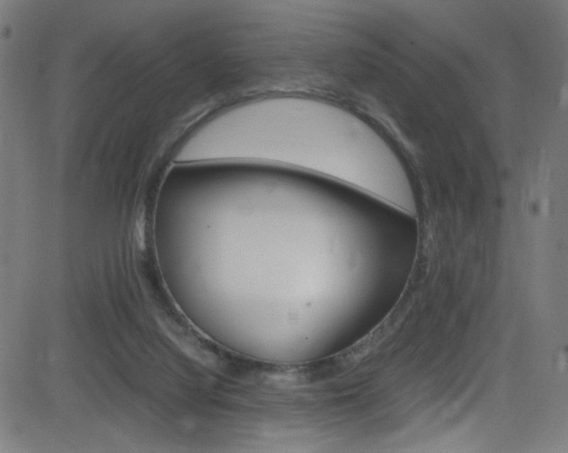 X0000083000068200702011220