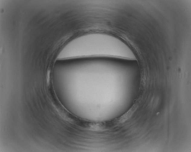 X0000083000070200702011220