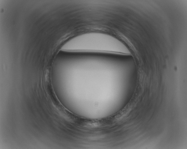 X0000083000071200702011220