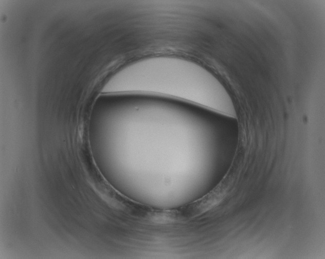 X0000083000072200702011220