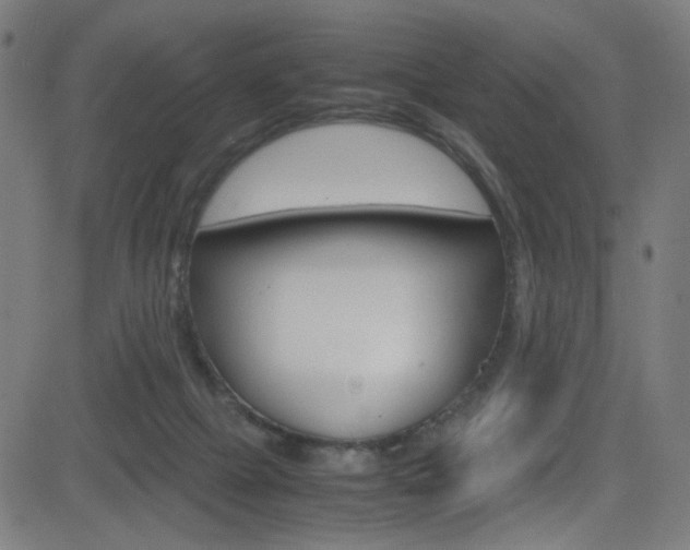 X0000083000073200702011220