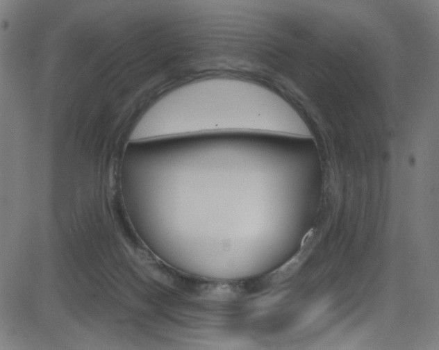 X0000083000074200702011220