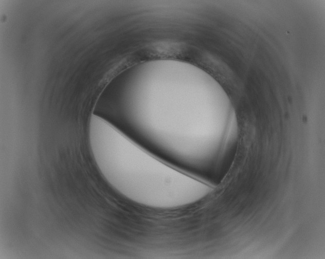 X0000083000075200702011220
