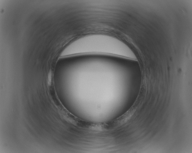 X0000083000076200702011220