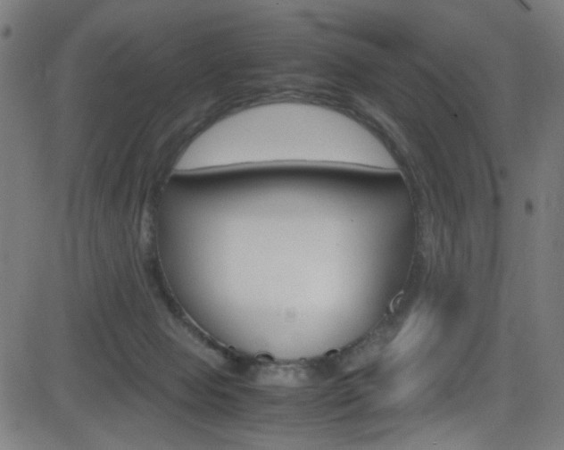 X0000083000077200702011220