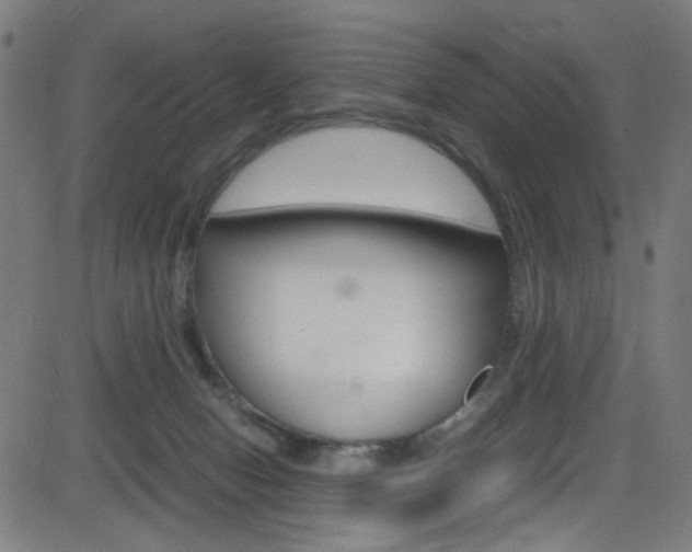 X0000083000078200702011220
