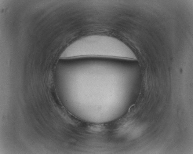 X0000083000079200702011220