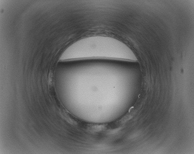 X0000083000081200702011220
