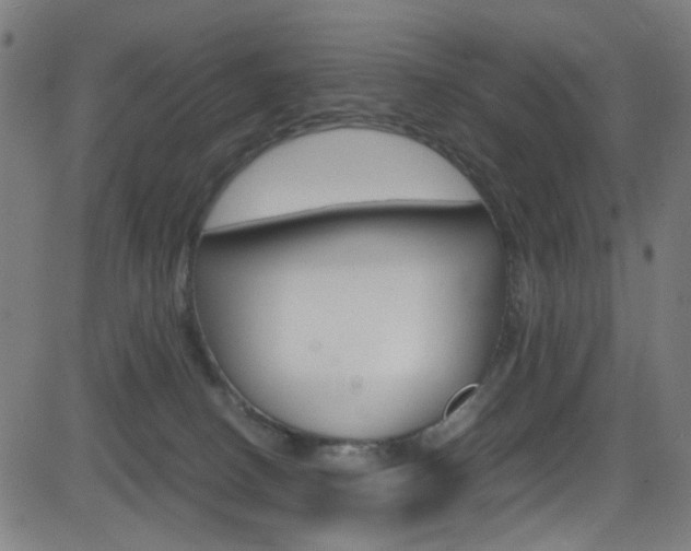 X0000083000082200702011220