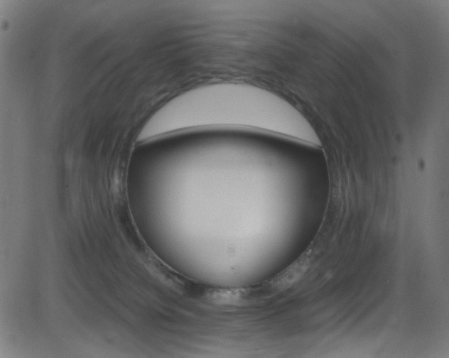 X0000083000084200702011220