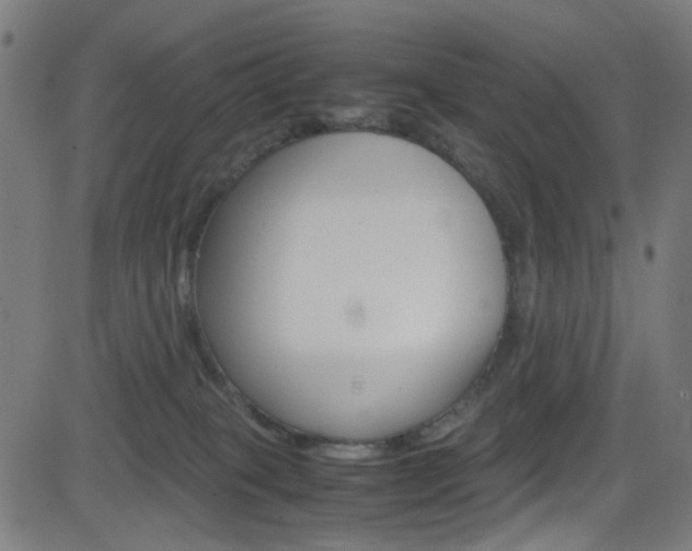 X0000083000085200702011220