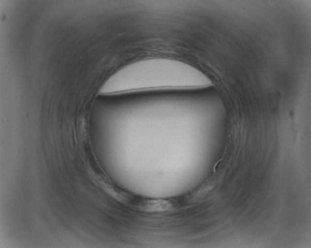 X0000083000087200702011220