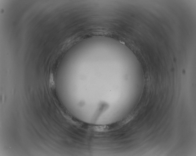 X0000083000089200702011220