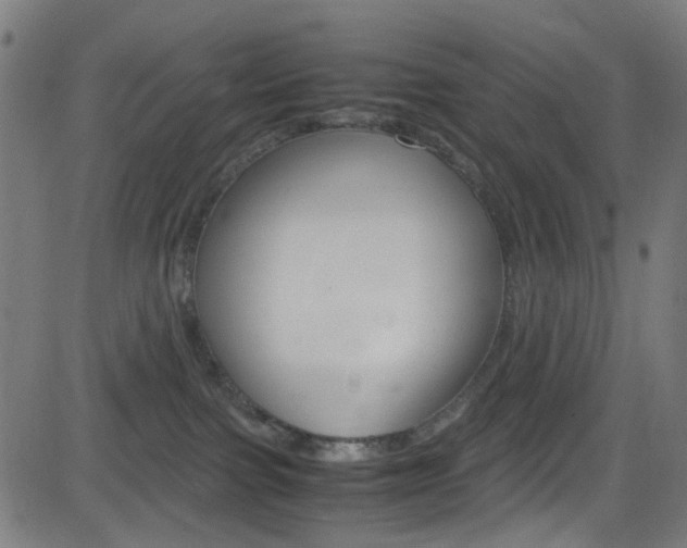 X0000083000091200702011220