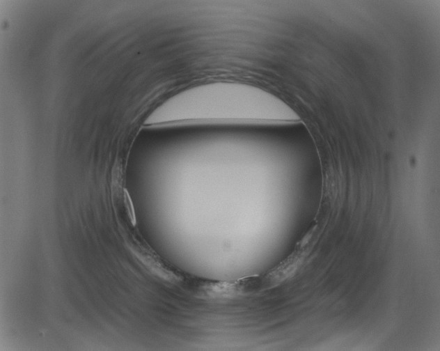 X0000083000092200702011220