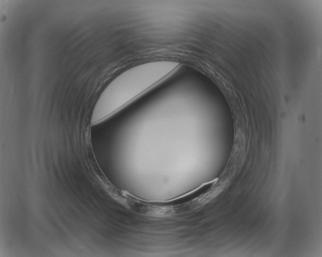 X0000083000096200702011220