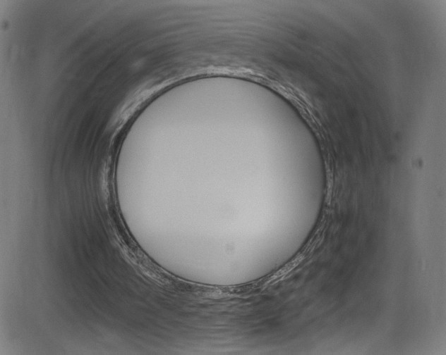X0000083000098200702011219