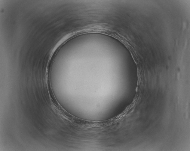 X0000083000100200702011219