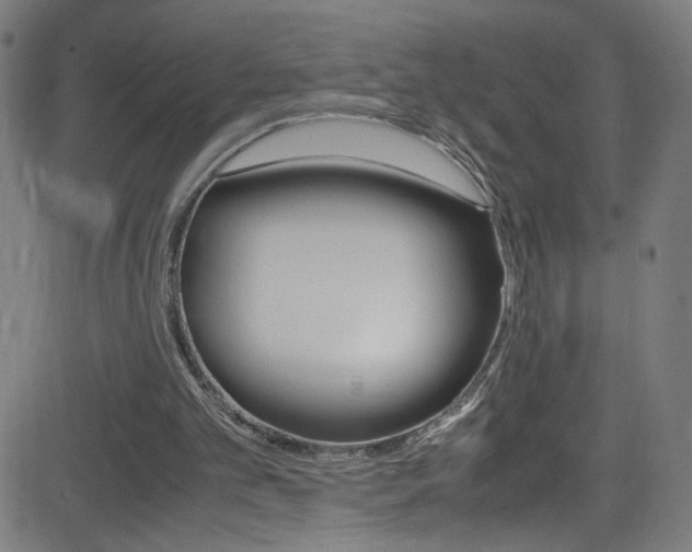 X0000083000101200702011219