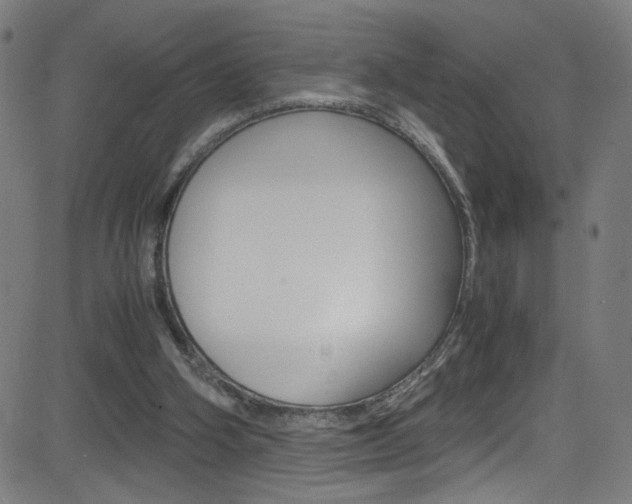 X0000083000106200702011219