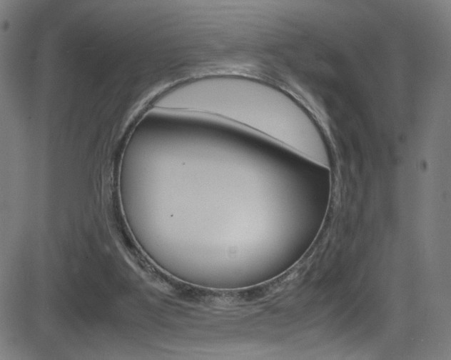 X0000083000107200702011219