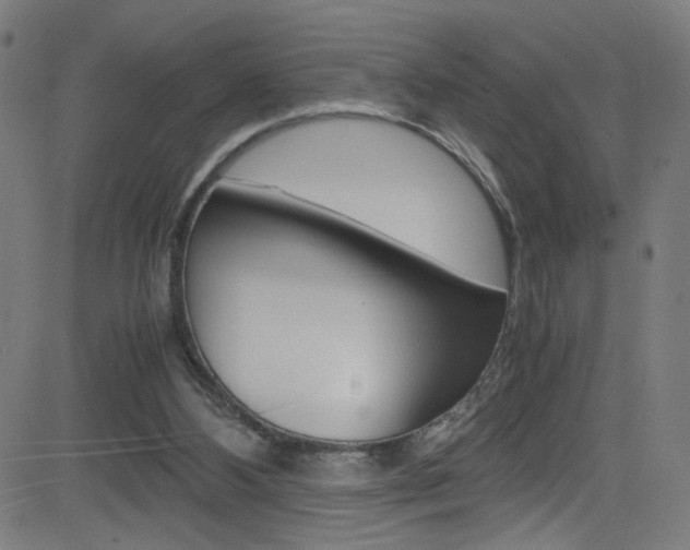 X0000083000108200702011219