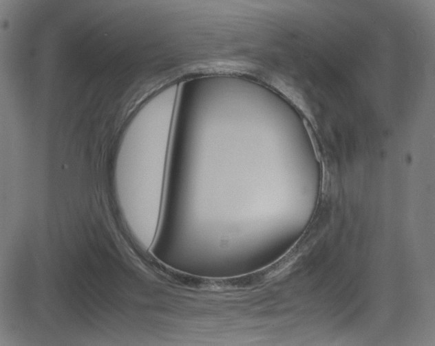X0000083000109200702011219
