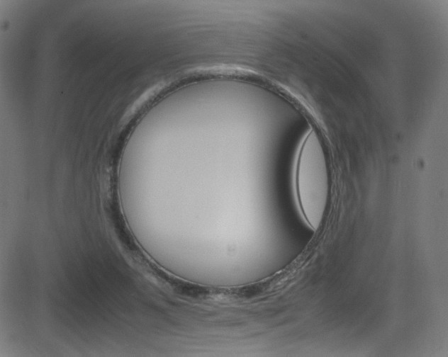 X0000083000111200702011219