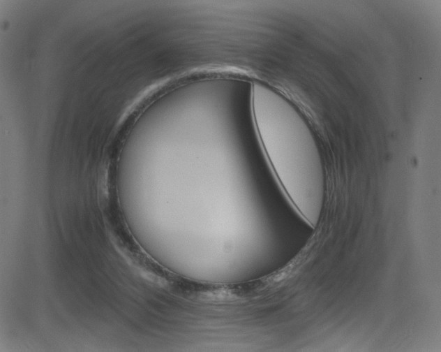 X0000083000112200702011219