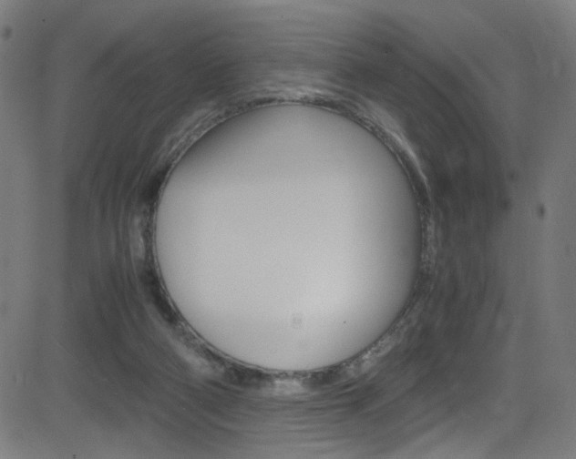 X0000083000114200702011219
